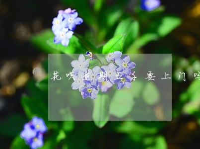 花呗逾期五千要上门吗 花呗逾期五千要上门吗