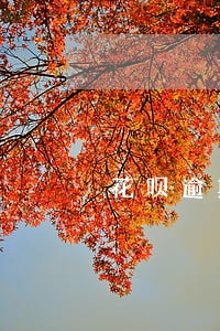 花呗逾期五天了 花呗逾期五天了