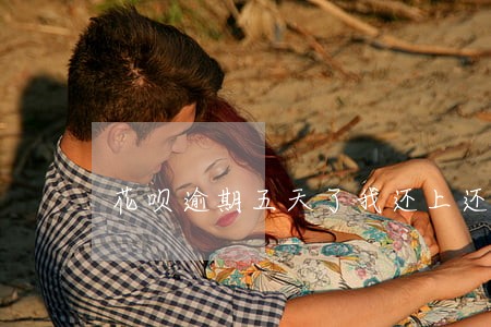 花呗逾期五天了我还上还能用吗 花呗逾期五天了我还上还能用吗