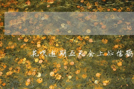 花呗逾期五天会上征信嘛 花呗逾期五天会上征信嘛
