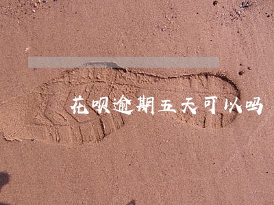 花呗逾期五天可以吗 花呗逾期五天可以吗