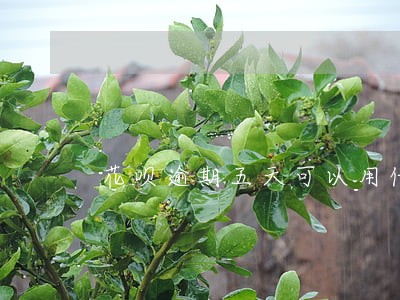 花呗逾期五天可以用借呗吗