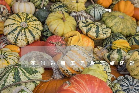 花呗逾期五天后冻结还能恢复吗 花呗逾期五天后冻结还能恢复吗