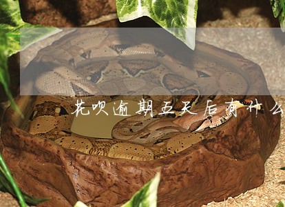 花呗逾期五天后有什么影响 花呗逾期五天后有什么影响