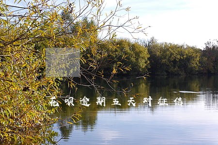 花呗逾期五天对征信 花呗逾期五天对征信