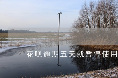 花呗逾期五天就暂停使用什么情况 花呗逾期五天就暂停使用什么情况