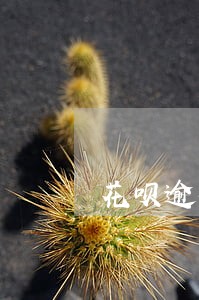 花呗逾期五天怎么样 花呗逾期五天怎么样