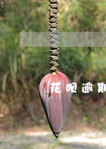 花呗逾期五天有啥影响吗 花呗逾期五天有啥影响吗