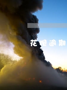花呗逾期五天没事吗 花呗逾期五天没事吗