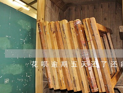 花呗逾期五天还了还能用吗 花呗逾期五天还了还能用吗