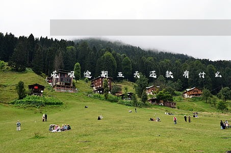 花呗逾期五天还款有什么后果 花呗逾期五天还款有什么后果