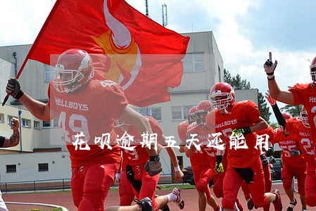 花呗逾期五天还能用 花呗逾期五天还能用