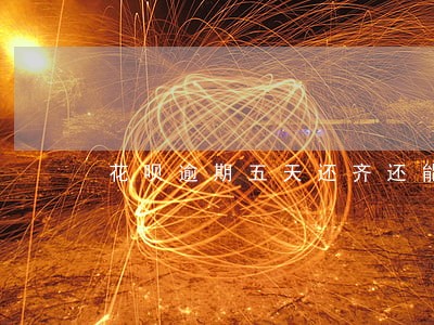 花呗逾期五天还齐还能用吗 花呗逾期五天还齐还能用吗