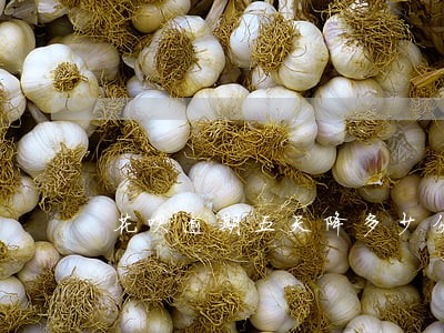 花呗逾期五天降多少分