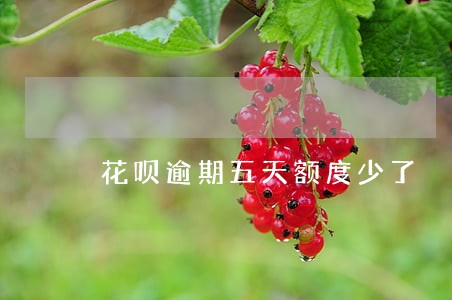 花呗逾期五天额度少了 花呗逾期五天额度少了