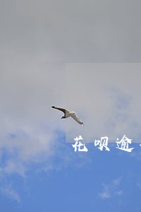 花呗逾期五小时有影响吗