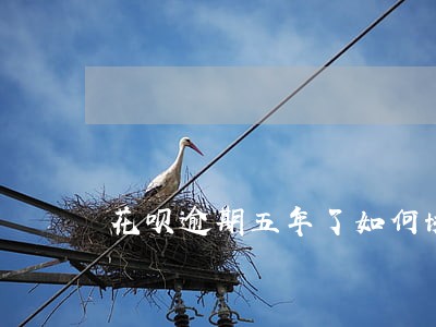 花呗逾期五年了如何协商