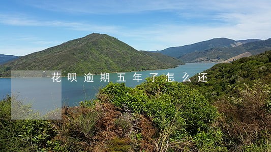 花呗逾期五年了怎么还 花呗逾期五年了怎么还