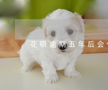花呗逾期五年后会恢复吗 花呗逾期五年后会恢复吗