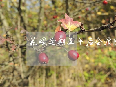 花呗逾期五年后会消除吗 花呗逾期五年后会消除吗