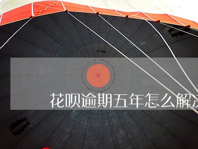 花呗逾期五年怎么解决还多少 花呗逾期五年怎么解决还多少