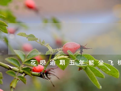 花呗逾期五年能坐飞机 花呗逾期五年能坐飞机