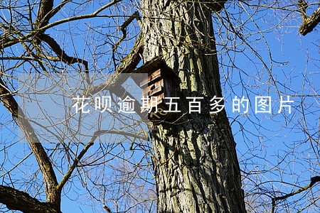 花呗逾期五百多的图片 花呗逾期五百多的图片