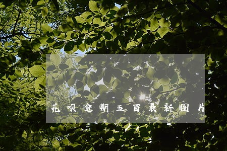 花呗逾期五百最新图片 花呗逾期五百最新图片