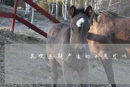 花呗逾期产生的利息可以消除吗 花呗逾期产生的利息可以消除吗