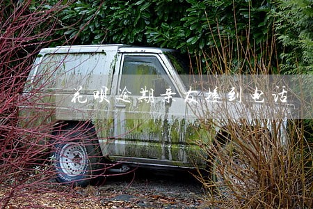 花呗逾期亲友接到电话 花呗逾期亲友接到电话