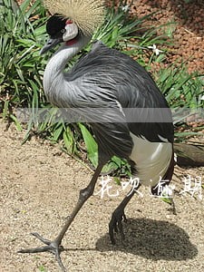 花呗逾期人信息 花呗逾期人信息