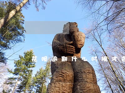 花呗逾期什么时候才会上征信 花呗逾期什么时候才会上征信