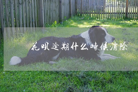 花呗逾期什么时候消除 花呗逾期什么时候消除