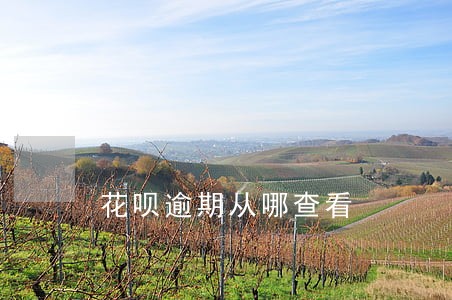 花呗逾期从哪查看 花呗逾期从哪查看