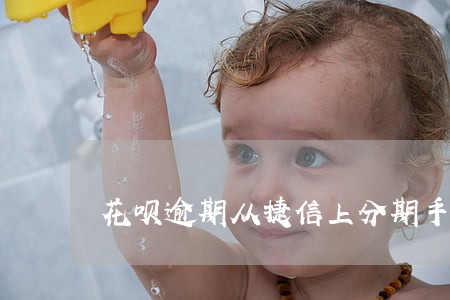 花呗逾期从捷信上分期手机能吗 花呗逾期从捷信上分期手机能吗