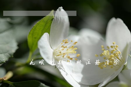 花呗逾期从新注册消除 花呗逾期从新注册消除
