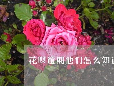 花呗逾期他们怎么知道的家人电话 花呗逾期他们怎么知道的家人电话