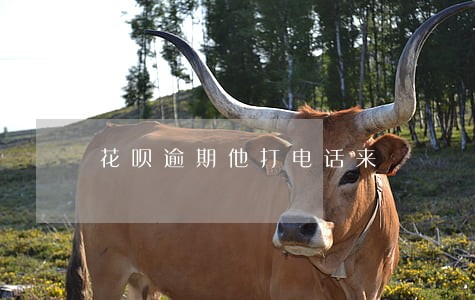 花呗逾期他打电话来 花呗逾期他打电话来
