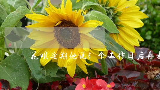 花呗逾期他说5个工作日后再来