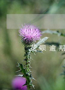 花呗逾期付款了有什么后果 花呗逾期付款了有什么后果