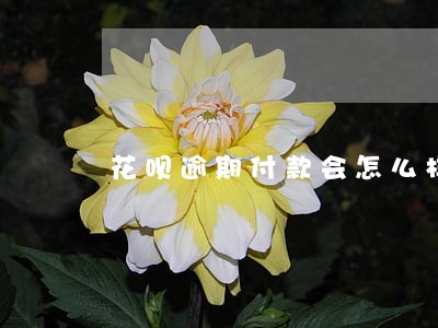 花呗逾期付款会怎么样 花呗逾期付款会怎么样