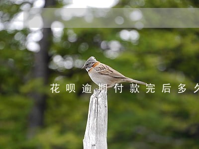 花呗逾期付款完后多久恢复正常 花呗逾期付款完后多久恢复正常
