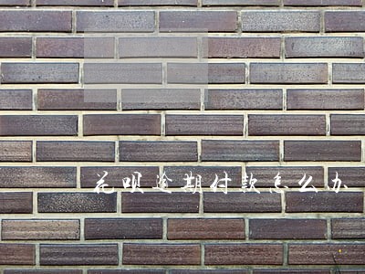 花呗逾期付款怎么办