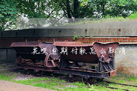 花呗逾期付款怎么取消 花呗逾期付款怎么取消