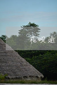 花呗逾期代扣怎么取消