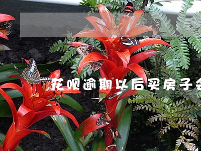 花呗逾期以后买房子会怎么 花呗逾期以后买房子会怎么
