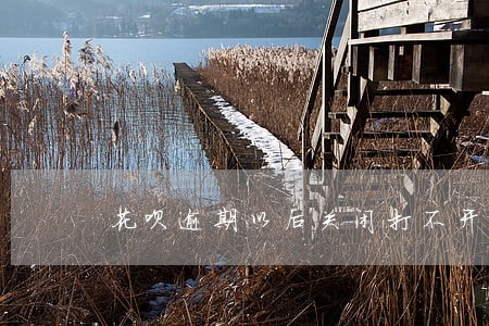 花呗逾期以后关闭打不开了