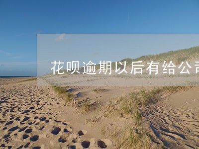 花呗逾期以后有给公司打电话的吗