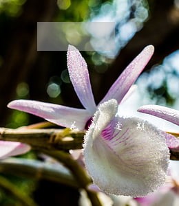 花呗逾期以后还能使用淘宝吗 花呗逾期以后还能使用淘宝吗