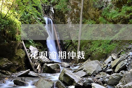 花呗逾期仲裁 花呗逾期仲裁